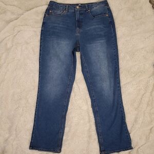 Frye High Waisted Denim Jeans 10/30